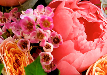 Bouquet de fleurs Frivole
